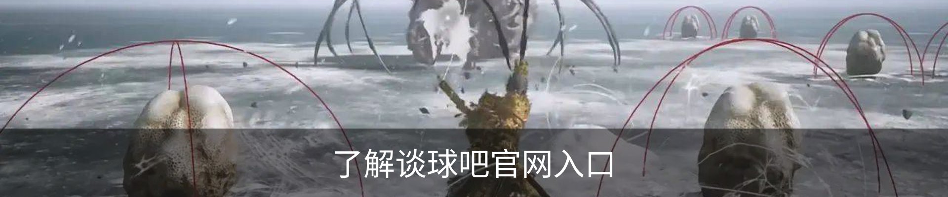 了解谈球吧官网入口